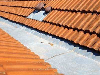 About Leaking Skylight Repair Pros Mountain Ranch, CA